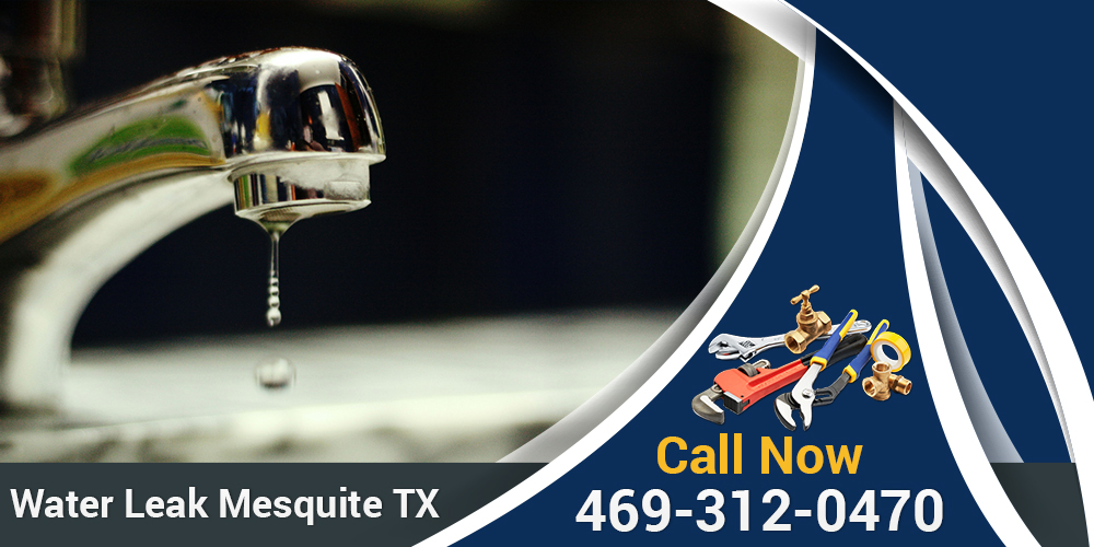 Plumbing Mesquite TX (Licensed-Insured -Cheap) Service